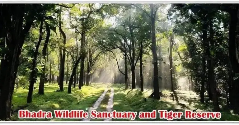 Bhadra Wildlife Sanctuary and National park in India