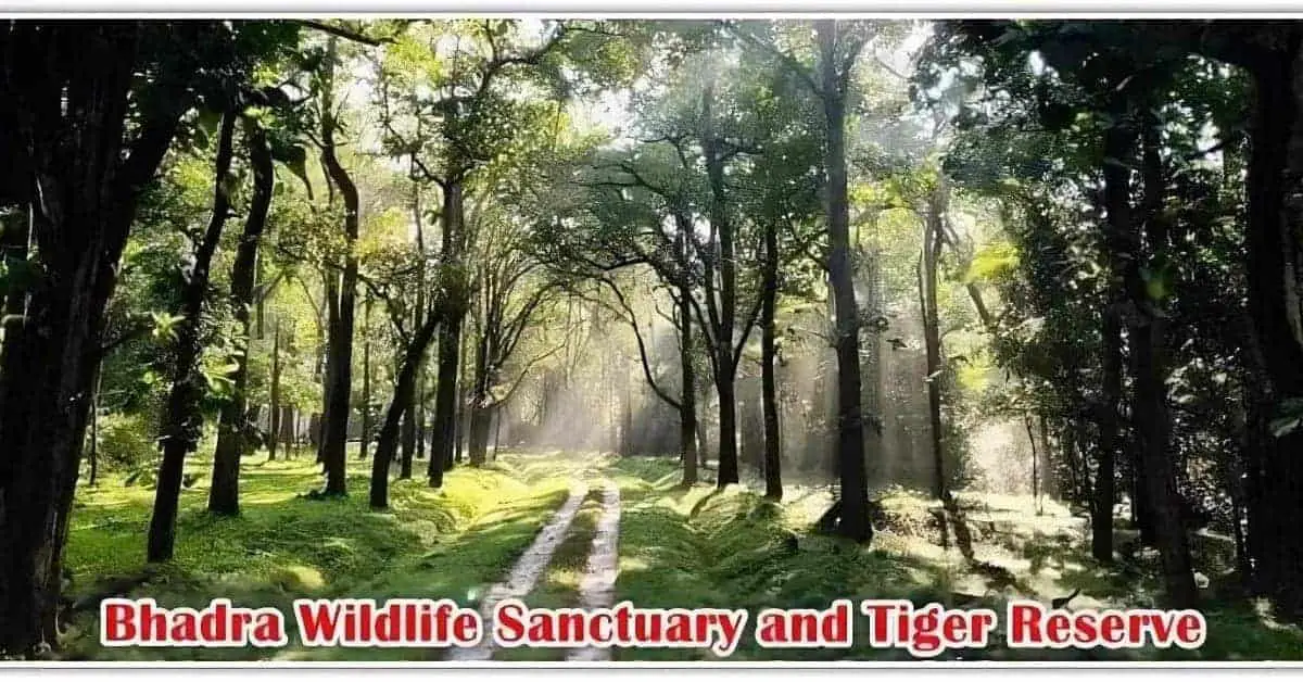 Bhadra Wildlife Sanctuary and Tiger Reserve in India