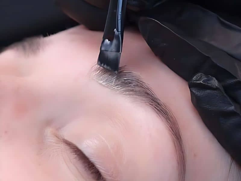 Brow & Lash Tinting at Nature's Envy Salon & Day Spa