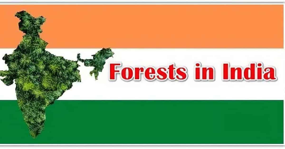 Different types of Forests in India
