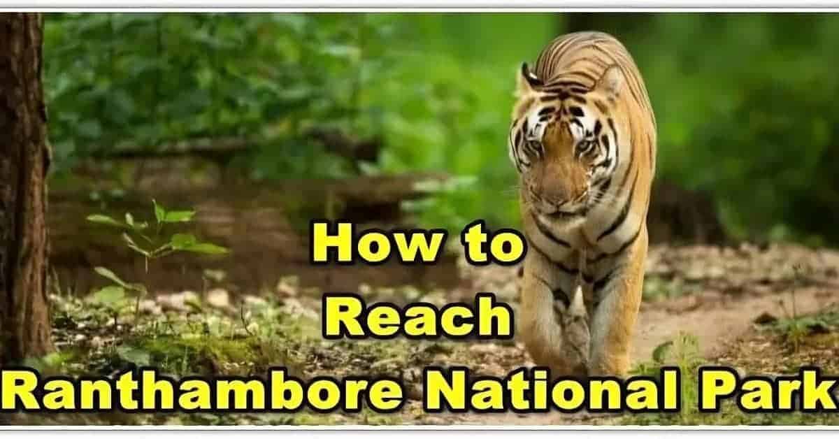 How to reach Ranthambore National Park