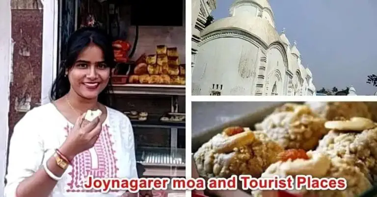 Joynagarer Moa recipe and buy | [Baharu] Majilpur station tourist places