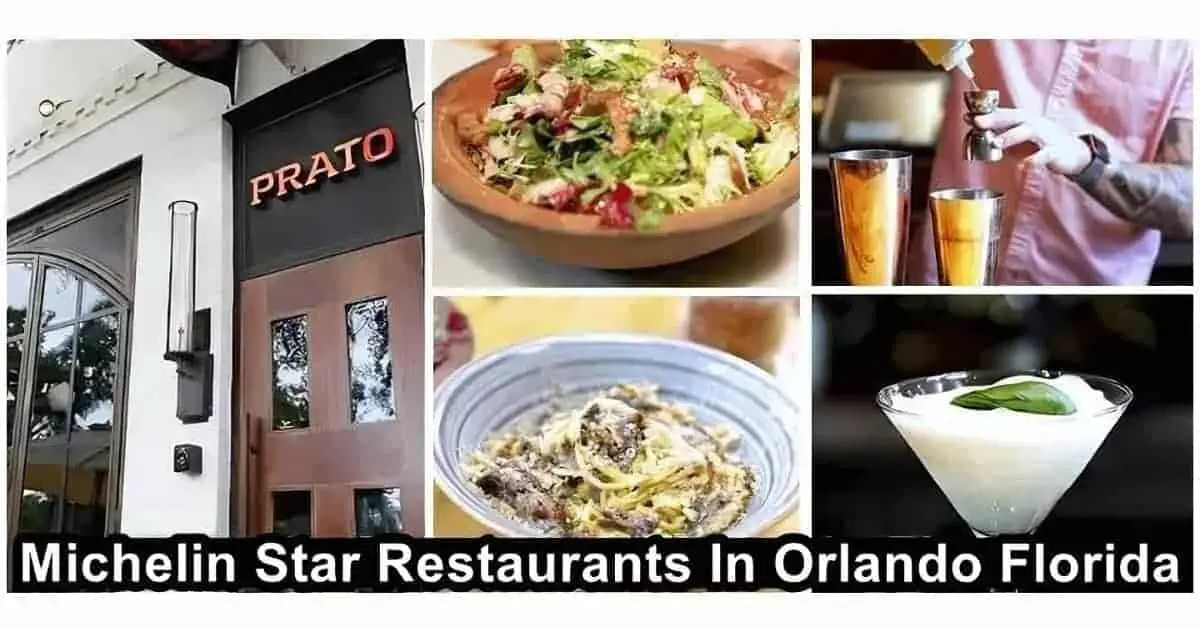 Michelin Star Restaurants In Orlando Florida
