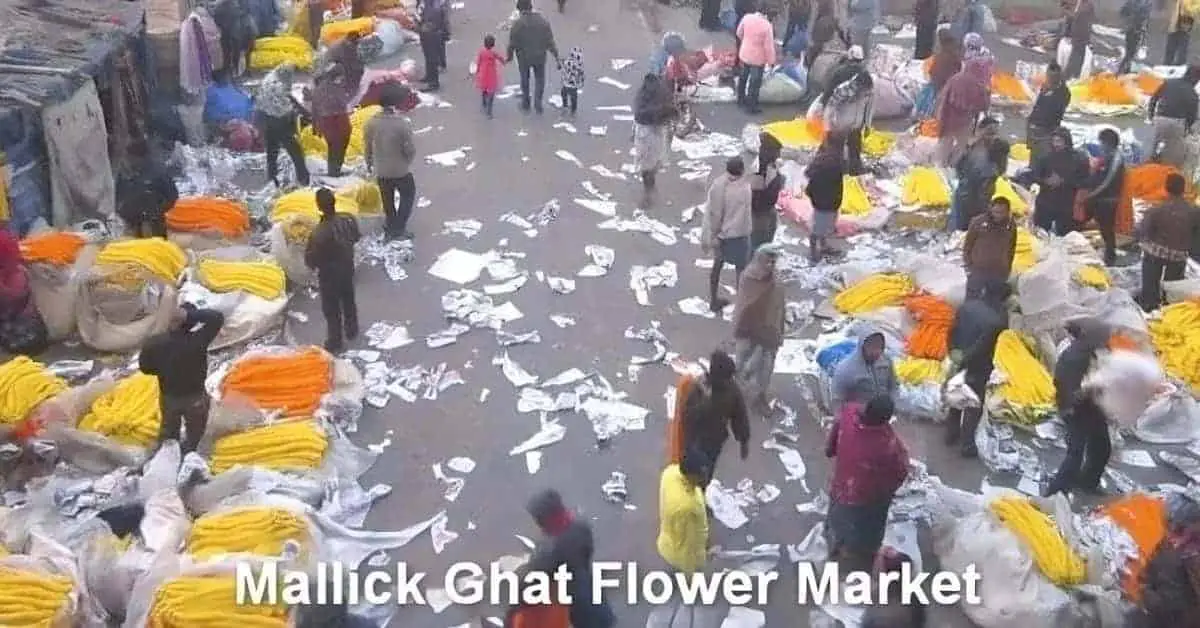 Mullick Ghat flower market Kolkata