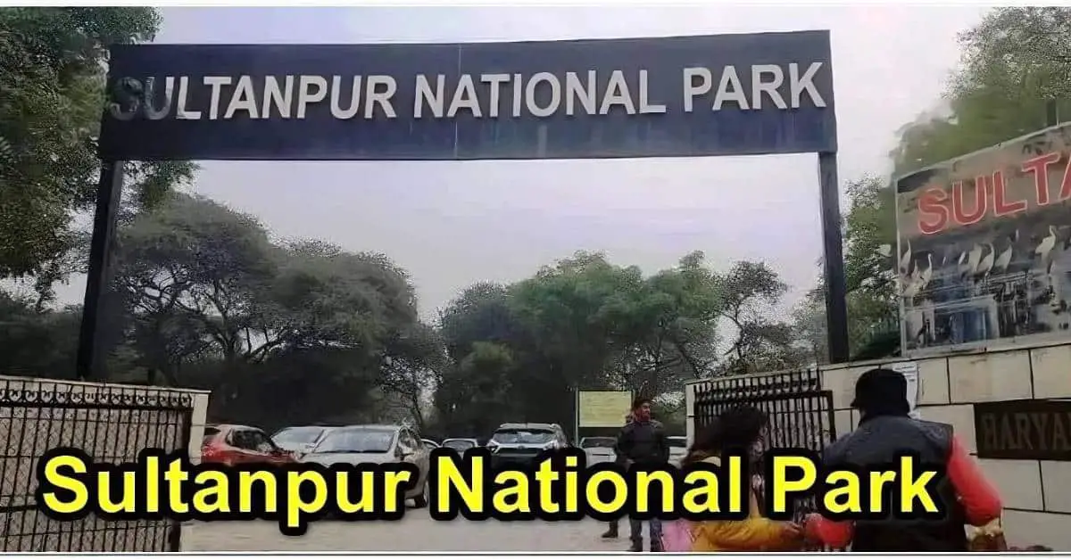 Sultanpur National Park Gurgaon