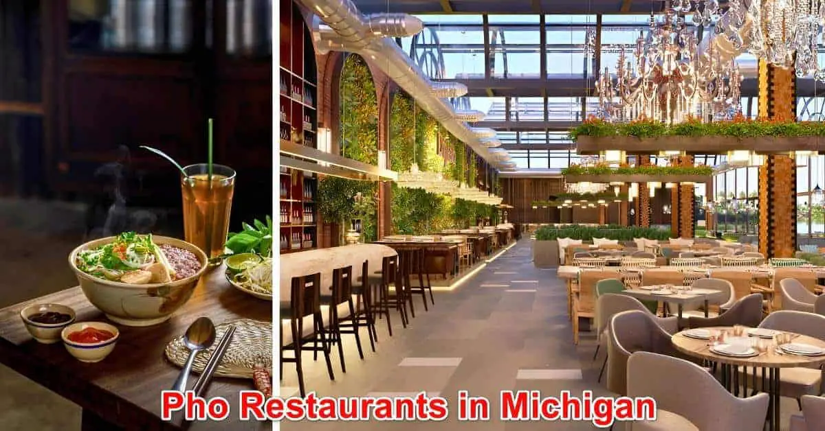 Pho Restaurants in Michigan