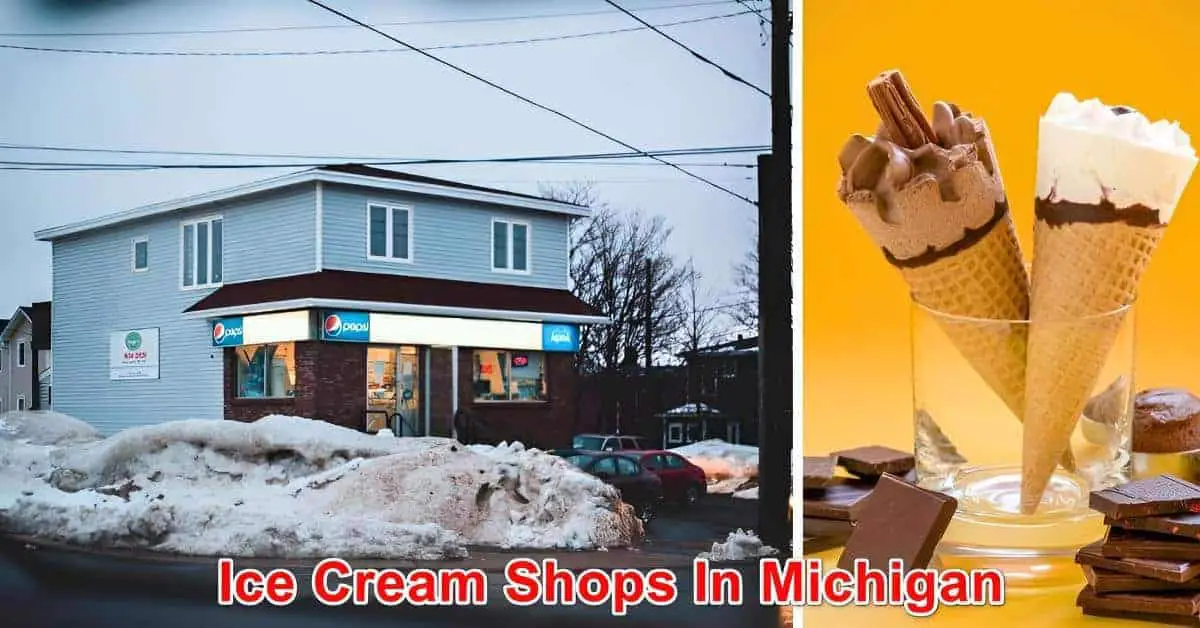 Ice Cream Shops In Michigan