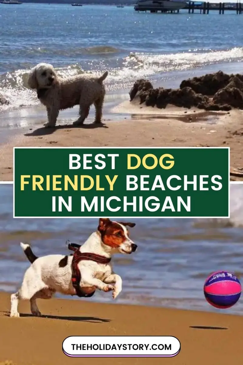 Best Dog Friendly Beaches in Michigan