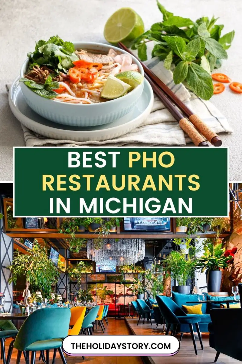 Best Pho Restaurants in Michigan