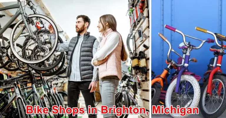 6 Best Bike Shops in Brighton, Michigan 2024